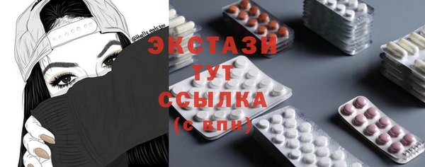 хмурый Няндома