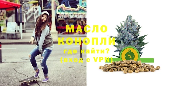 хмурый Няндома