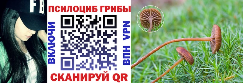 мега рабочий сайт  Моршанск  Галлюциногенные грибы мицелий 